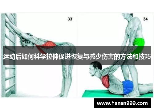 运动后如何科学拉伸促进恢复与减少伤害的方法和技巧