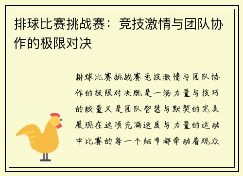 排球比赛挑战赛：竞技激情与团队协作的极限对决